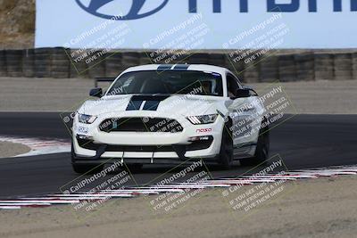 media/Aug-23-2024-Speed Ventures (Fri) [[92f1efc5e7]]/Red/Session 1 (Turn 3)/